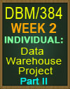 DBM/384 Data Warehouse Project Part II